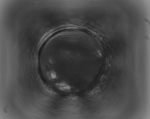 X0000091730247200709211025