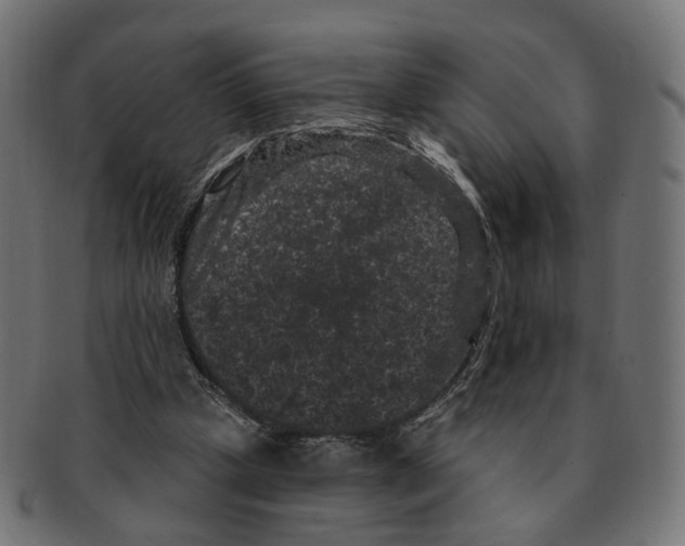 X0000091730249200709211025