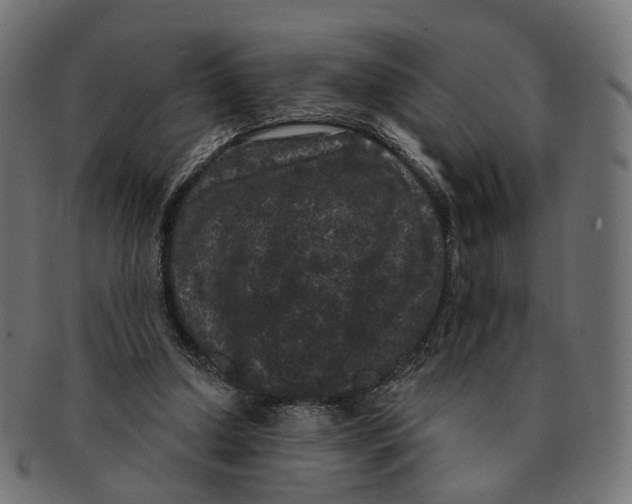 X0000091730250200709211025