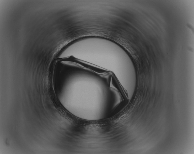 X0000091730252200709211025