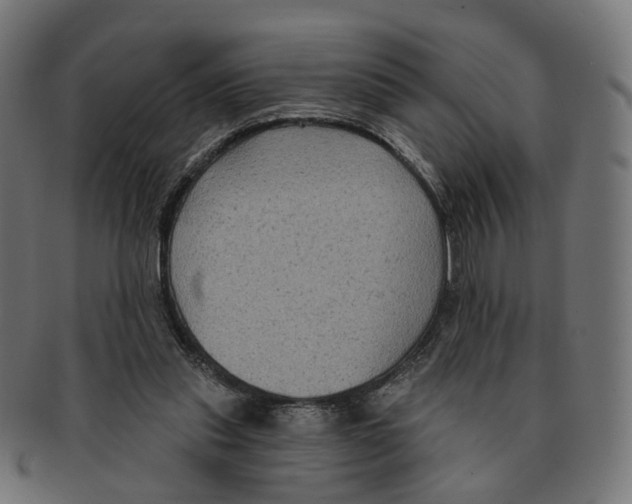 X0000091730253200709211026