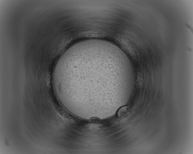 X0000091730255200709211026