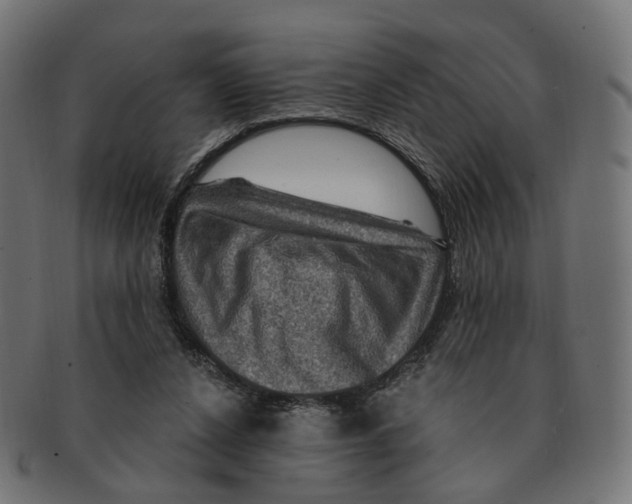 X0000091730256200709211026