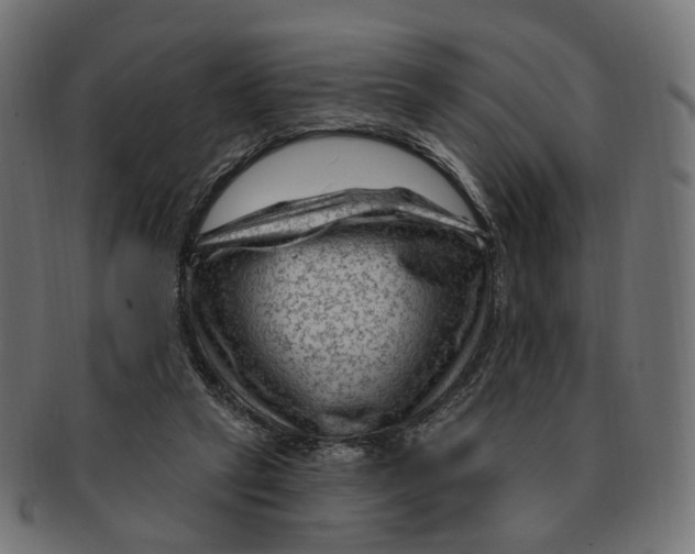 X0000091730257200709211026