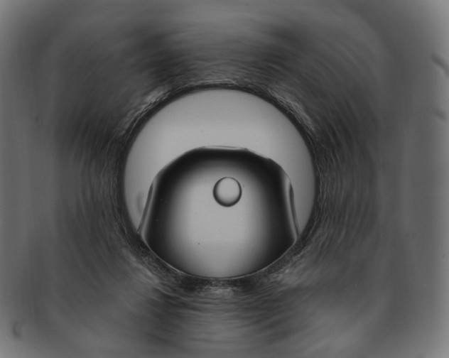 X0000091730260200709211026