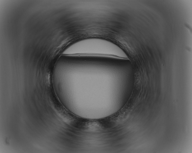 X0000091730262200709211026