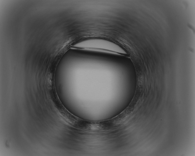 X0000091730264200709211026