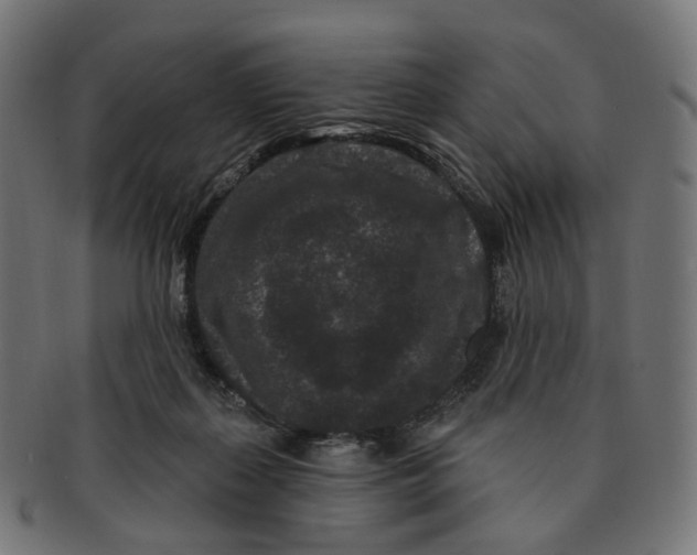 X0000091730267200709211026