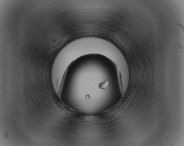 X0000091730268200709211026