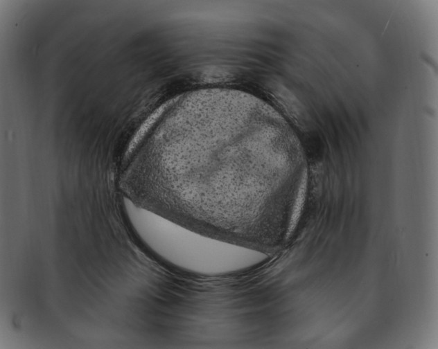 X0000091730269200709211026