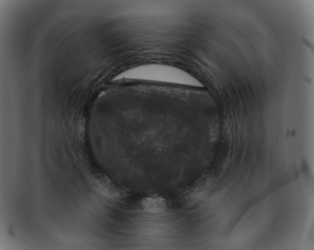 X0000091730271200709211026