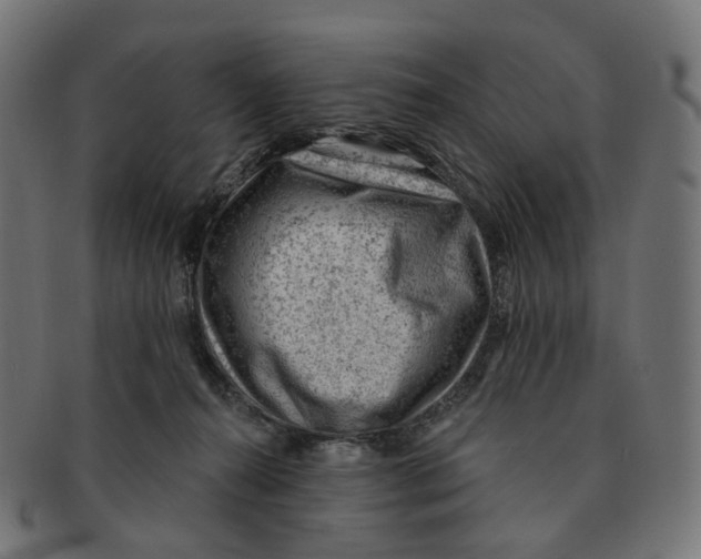 X0000091730272200709211026