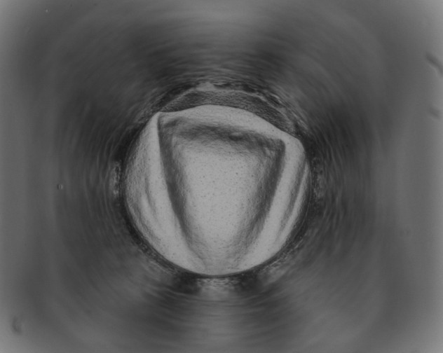 X0000091730273200709211026