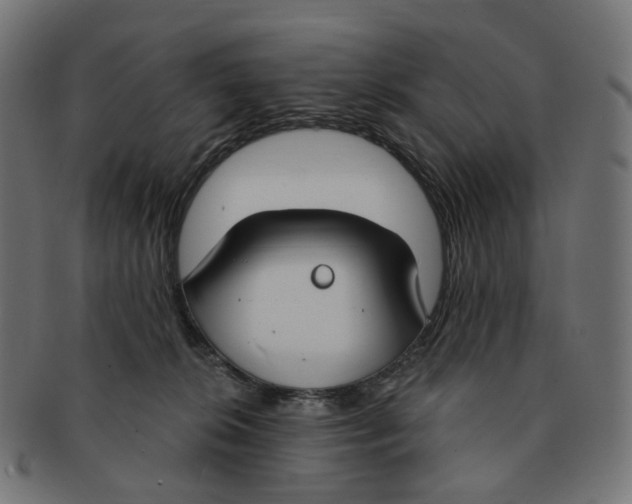 X0000091730276200709211026