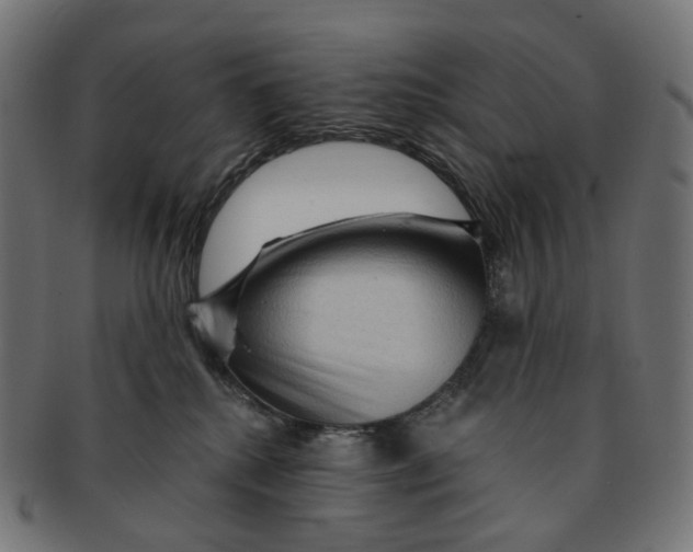 X0000091730280200709211026