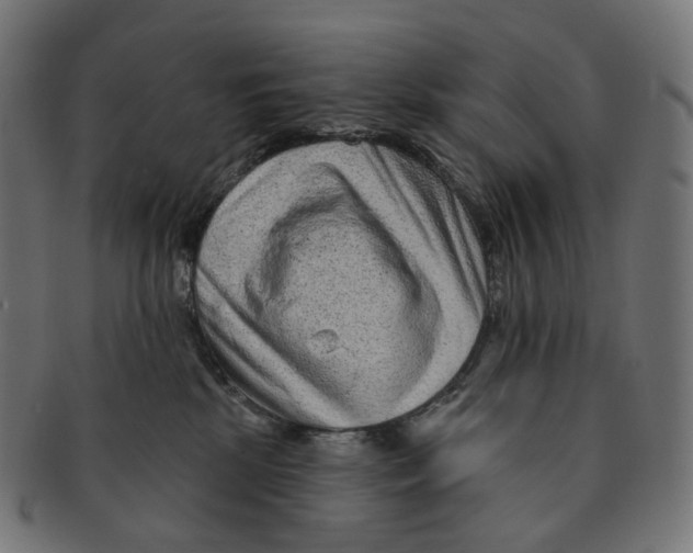 X0000091730281200709211026