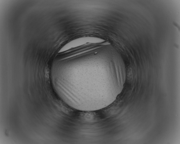 X0000091730282200709211026