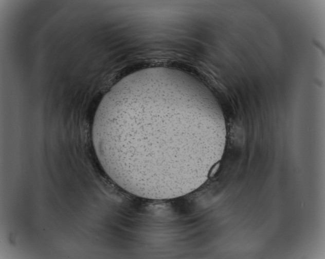 X0000091730283200709211026