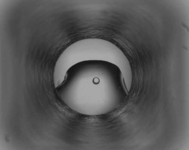 X0000091730284200709211026