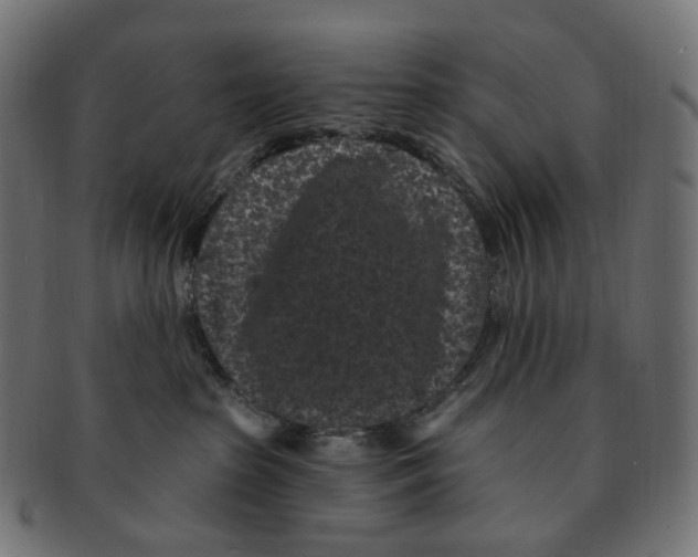 X0000091730285200709211026