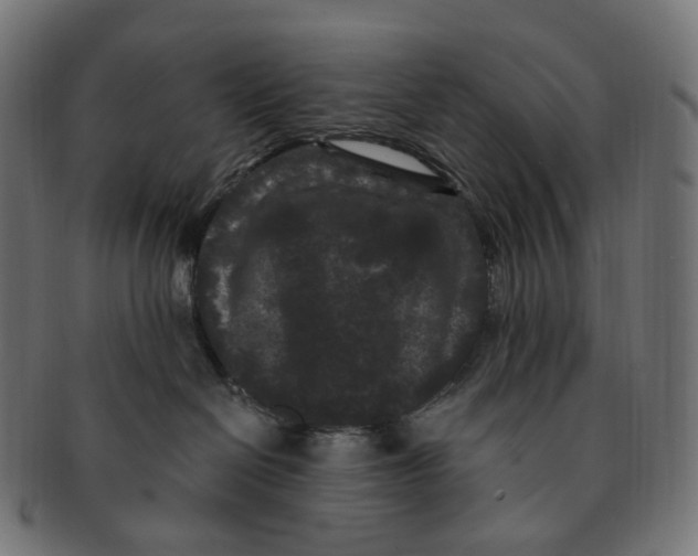 X0000091730286200709211026