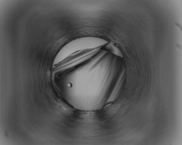 X0000091730288200709211026