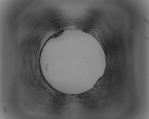 X0000091730289200709211025