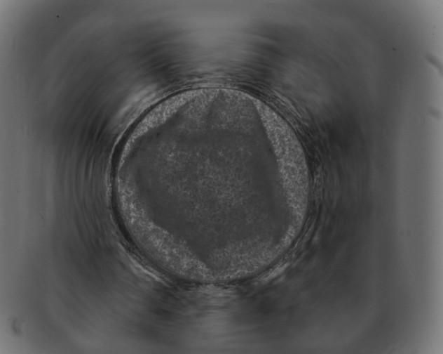 X0000091730290200709211025