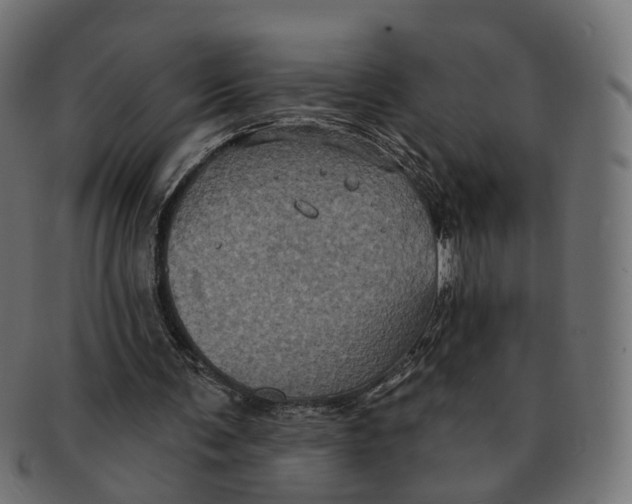 X0000091730291200709211025