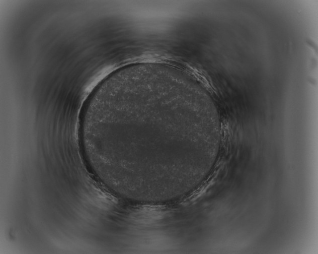 X0000091730292200709211025