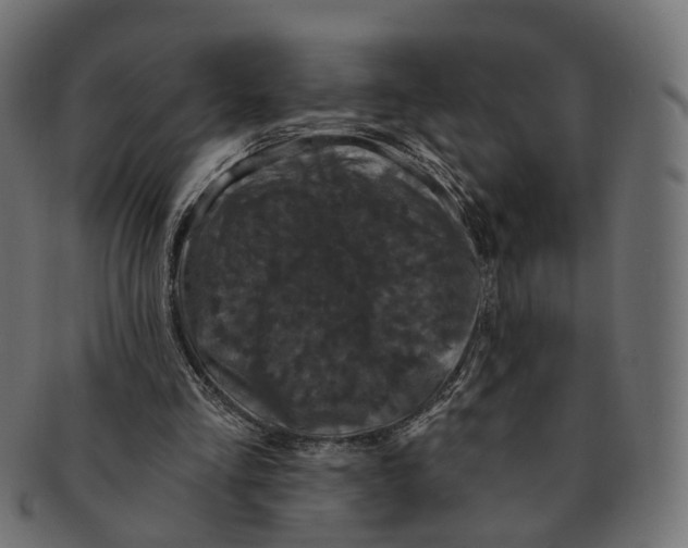 X0000091730293200709211025