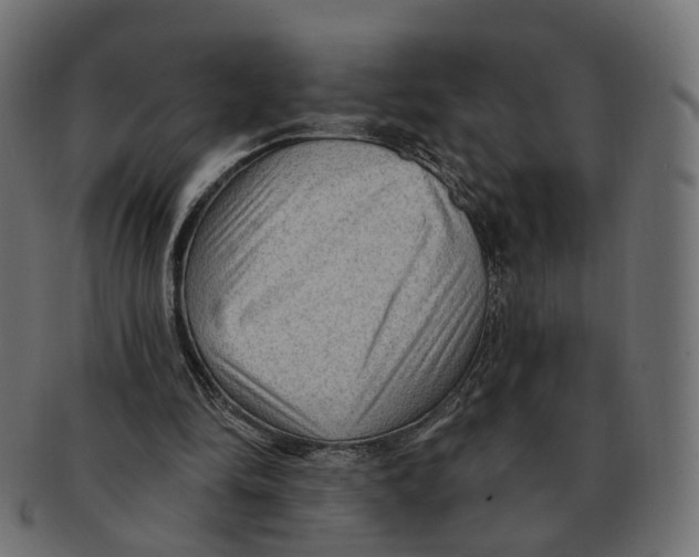 X0000091730294200709211025