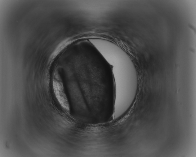 X0000091730295200709211025