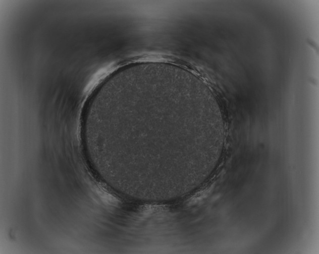 X0000091730296200709211025