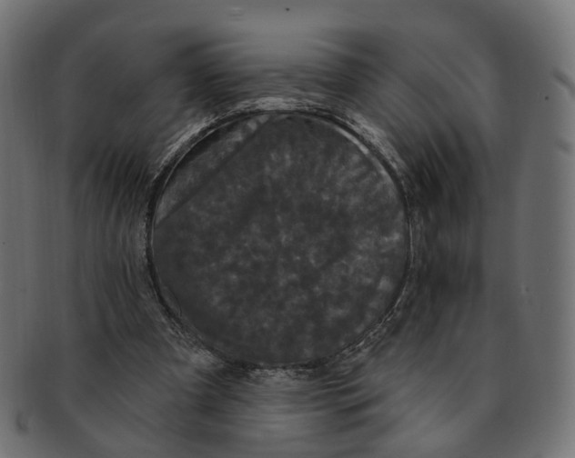 X0000091730297200709211025