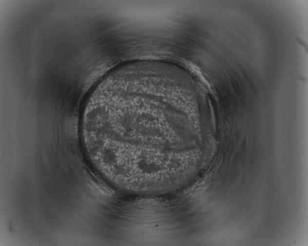 X0000091730299200709211025