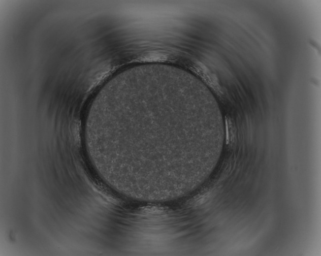 X0000091730300200709211025