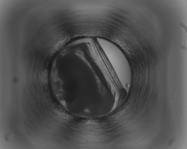 X0000091730303200709211025