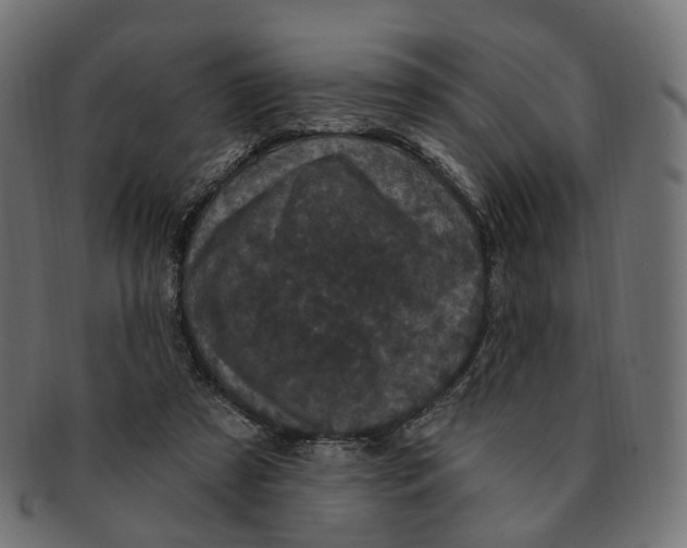 X0000091730305200709211025