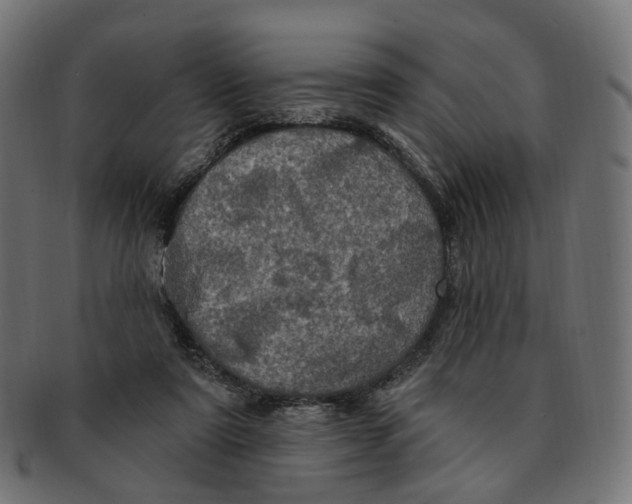 X0000091730307200709211025