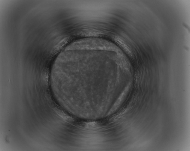 X0000091730309200709211025