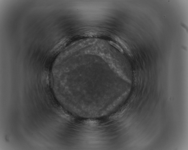 X0000091730313200709211025