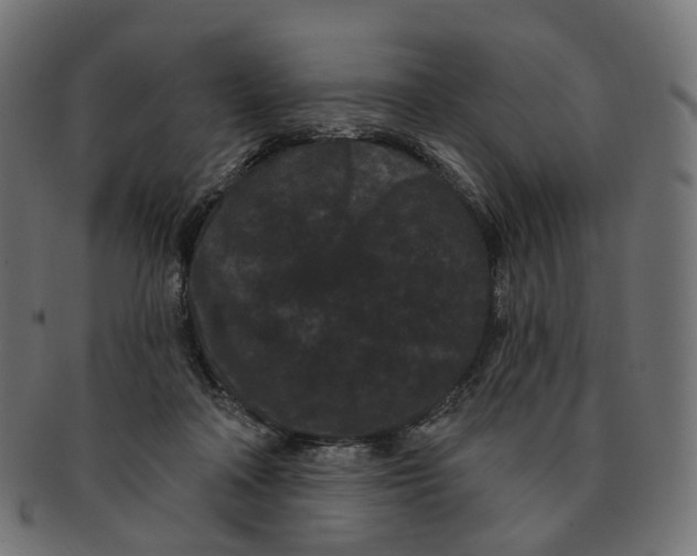 X0000091730314200709211025