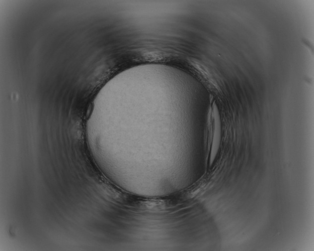 X0000091730317200709211025