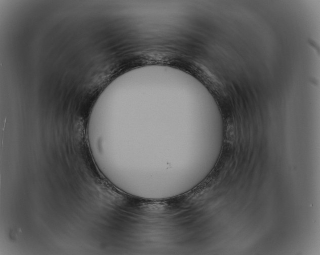 X0000091730318200709211025