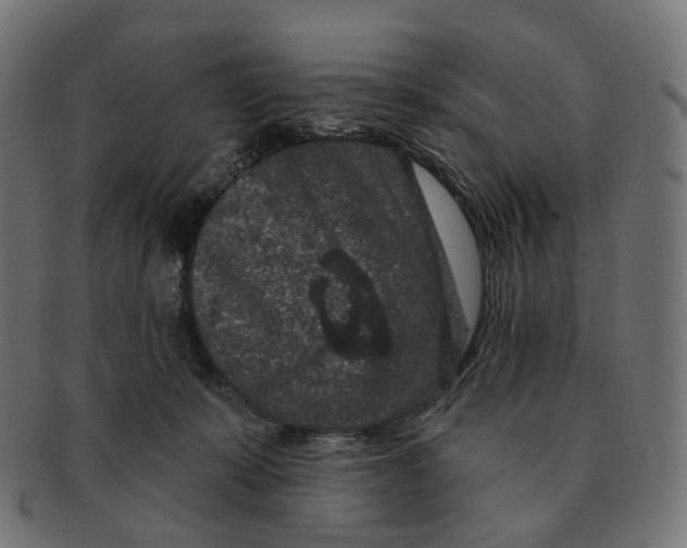 X0000091730319200709211025