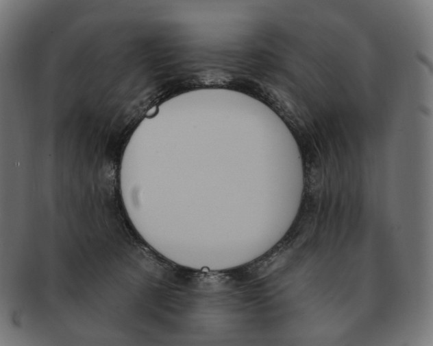 X0000091730321200709211025