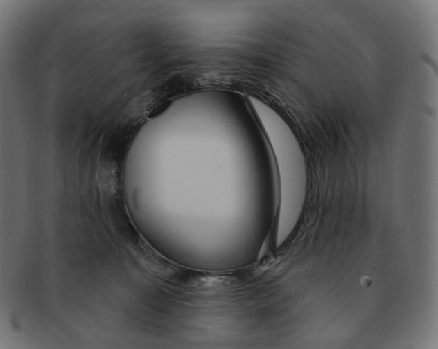 X0000091730323200709211025