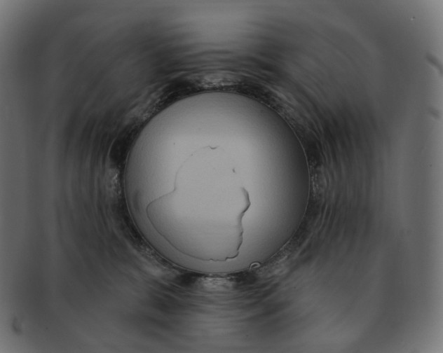 X0000091730327200709211025