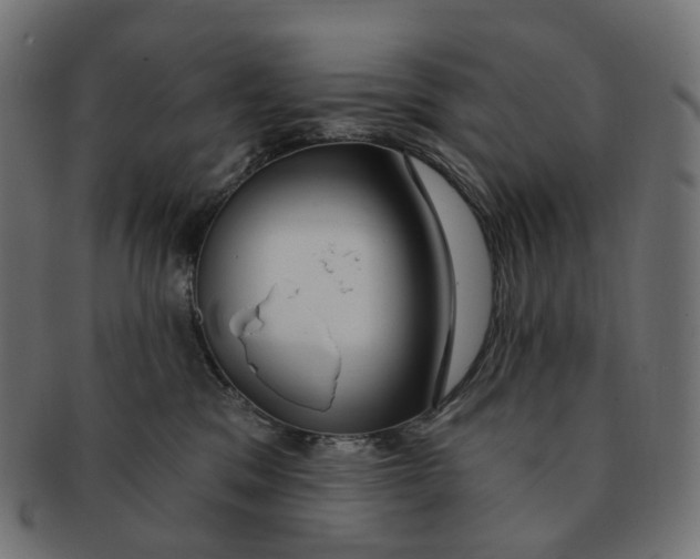 X0000091730329200709211025